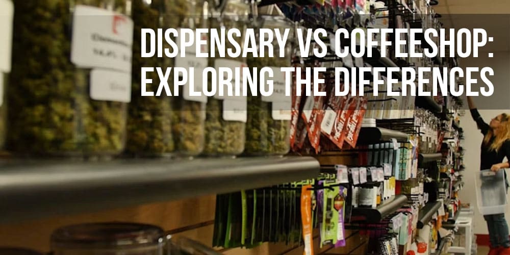 Dispensary vs Coffeeshop: Exploring the Differences