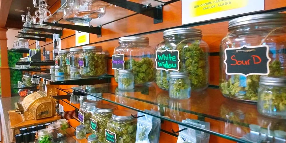 Dispensary vs Coffeeshop: Exploring the Differences