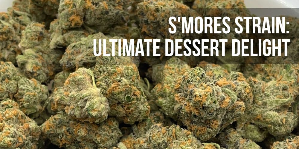 S'mores Strain: Ultimate Dessert Delight