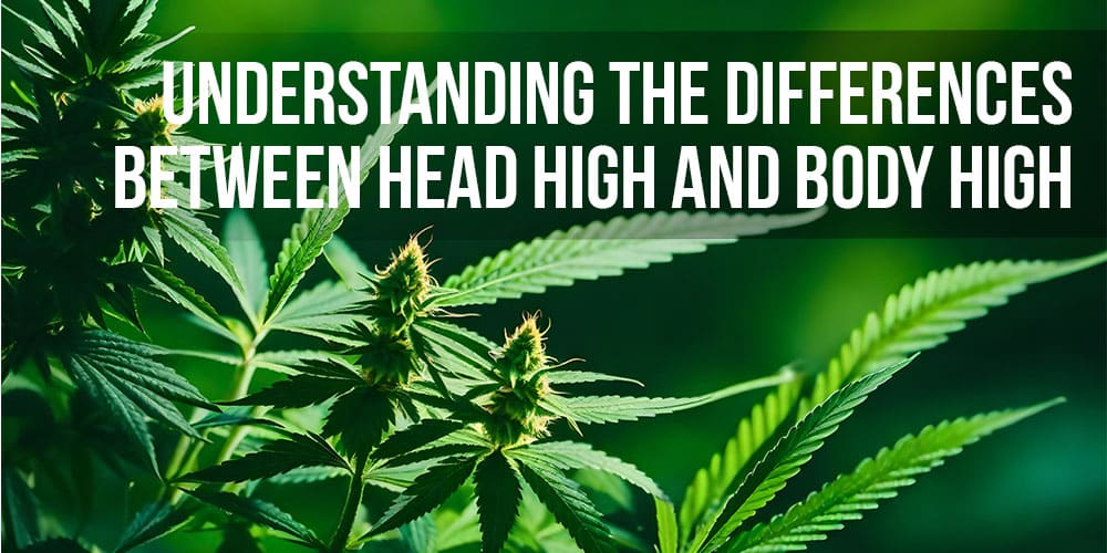 Understanding the Differences Between Head High and Body High