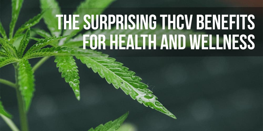 The Surprising THCV Benefits for Health and Wellness