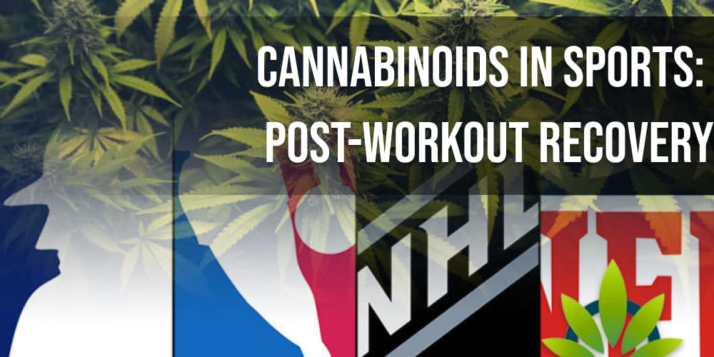 Cannabinoids in Sports