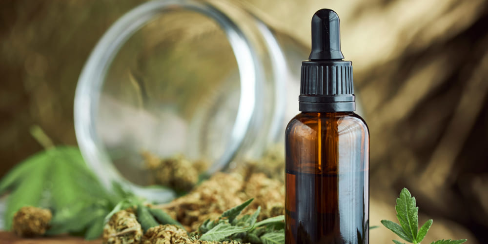 Choosing the Right Tincture: CBD, THC, or Balanced Formulas