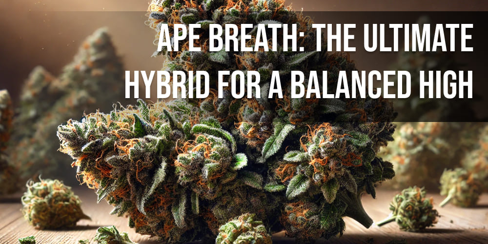 Ape Breath