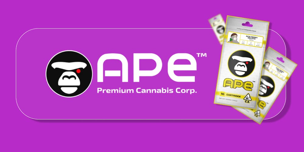 Person vaping Acai Berry Gelato Sauce Cartridge with smooth vapor.