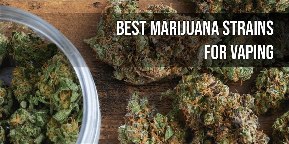 Best Marijuana Strains for Vaping