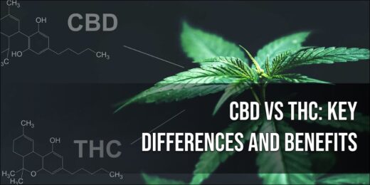 CBD vs THC