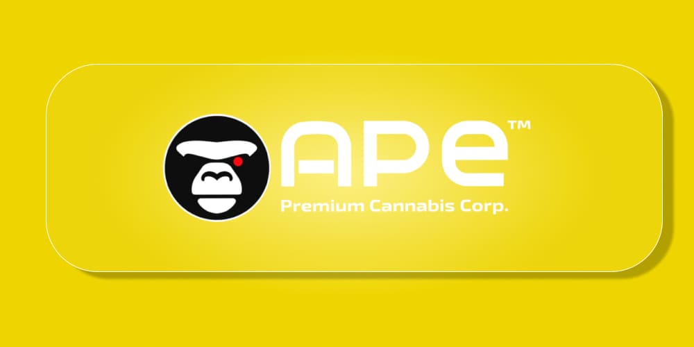 Pineapple Express: Everything About the Legendary Hybrid and Sauce Cartridge Pineapple Express Sauce Cartridge (1000mg) displayed with sleek design and vibrant packaging.
