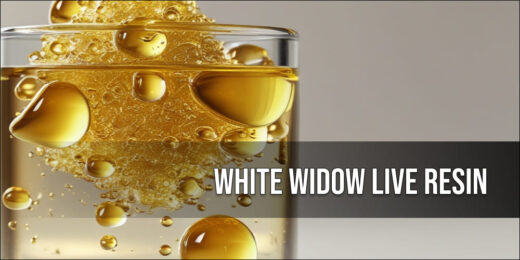 White Widow Live Resin