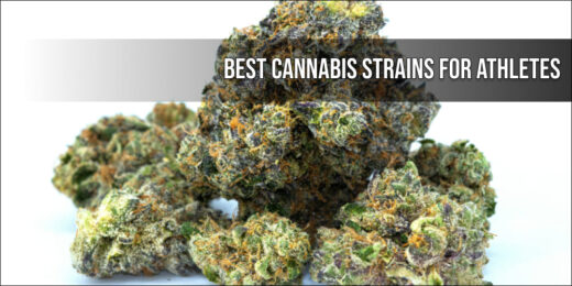 Best Cannabis Strains for Athletes
