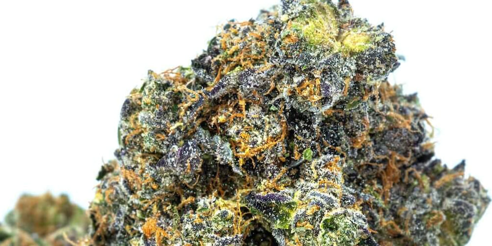 A close-up image of Blue Dream cannabis buds with a mix of green and purple hues, showcasing its sweet berry aroma.