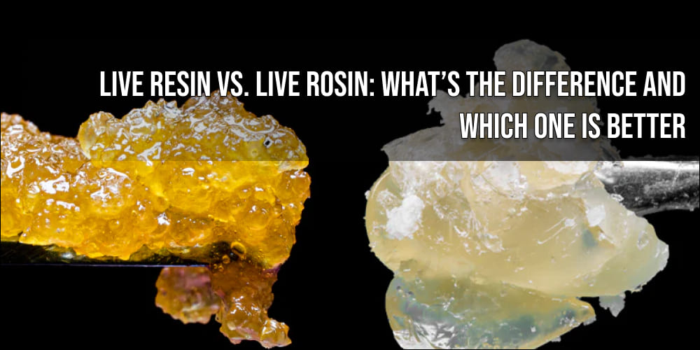 Live Resin, Live Rosin What's the Difference