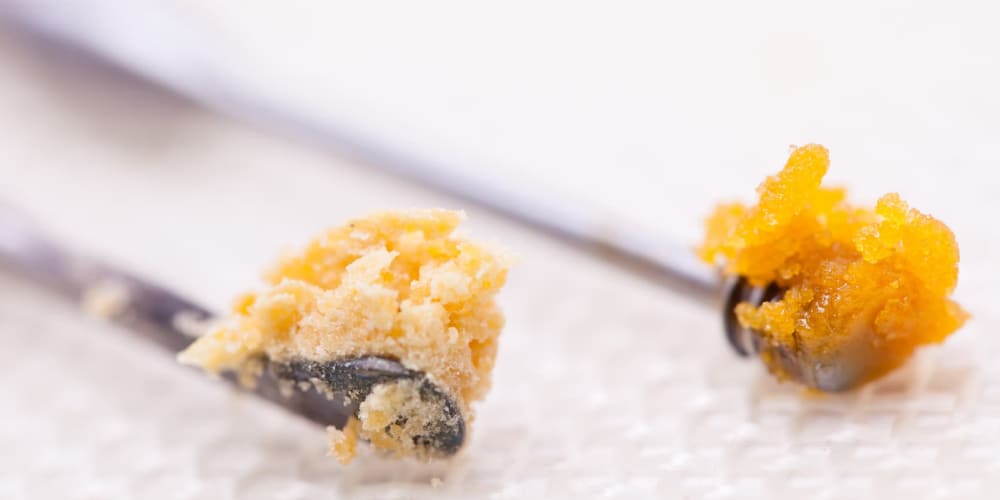 Side-by-side comparison of Live Resin and Live Rosin textures