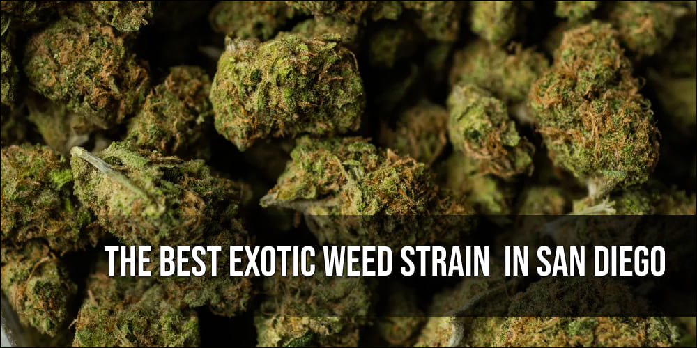 The Best Exotic Weed strain in San Diego