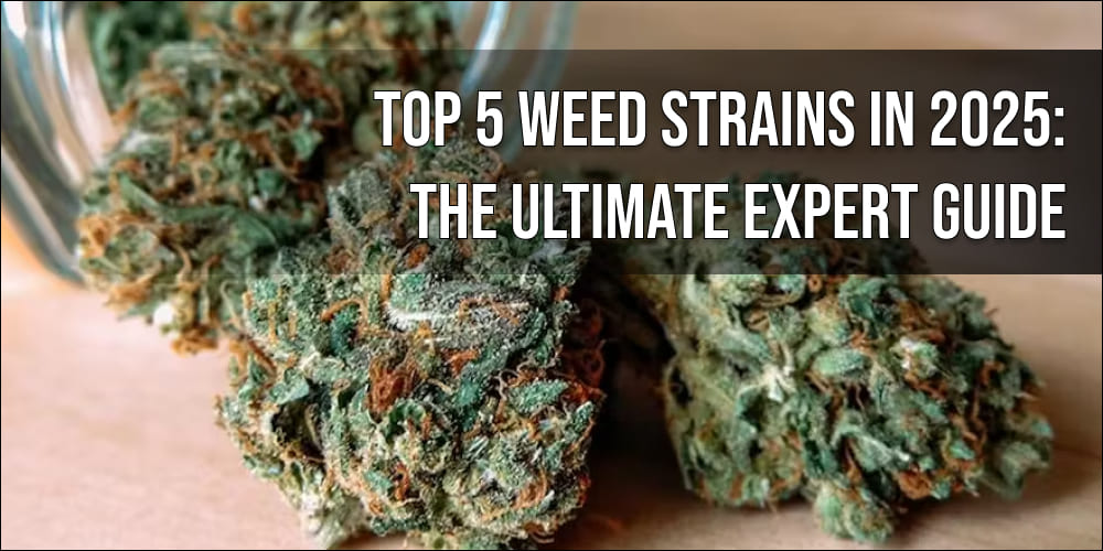 Top 5 Weed Strains in 2025