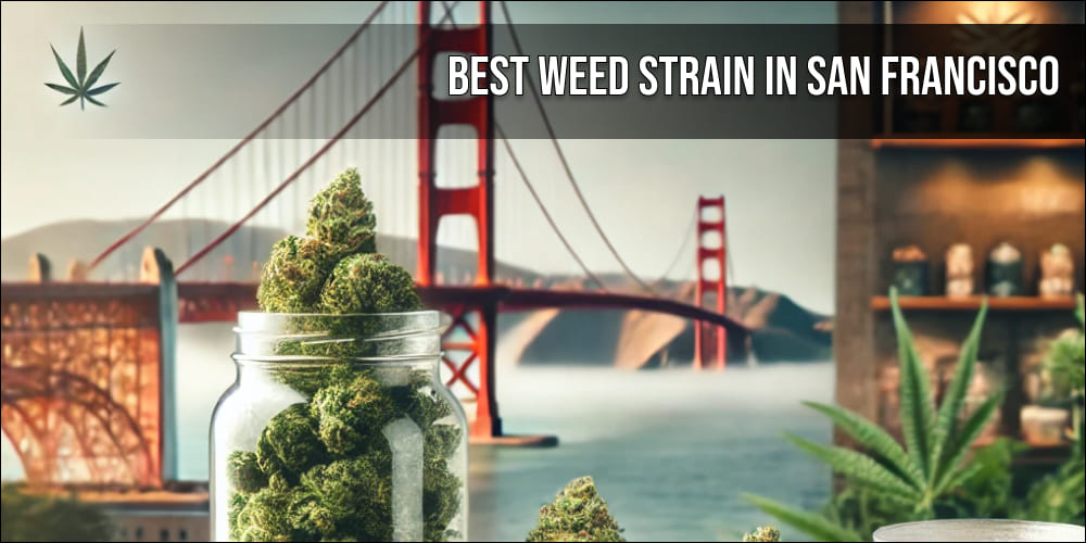 best weed strain in san francisco