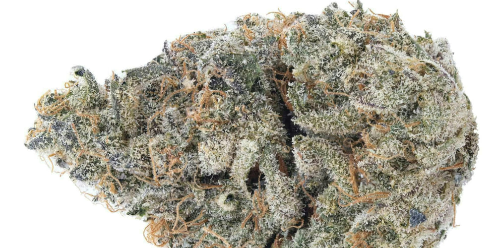 Beautiful Granddaddy Purple cannabis buds with deep purple hues and a rich grape aroma.