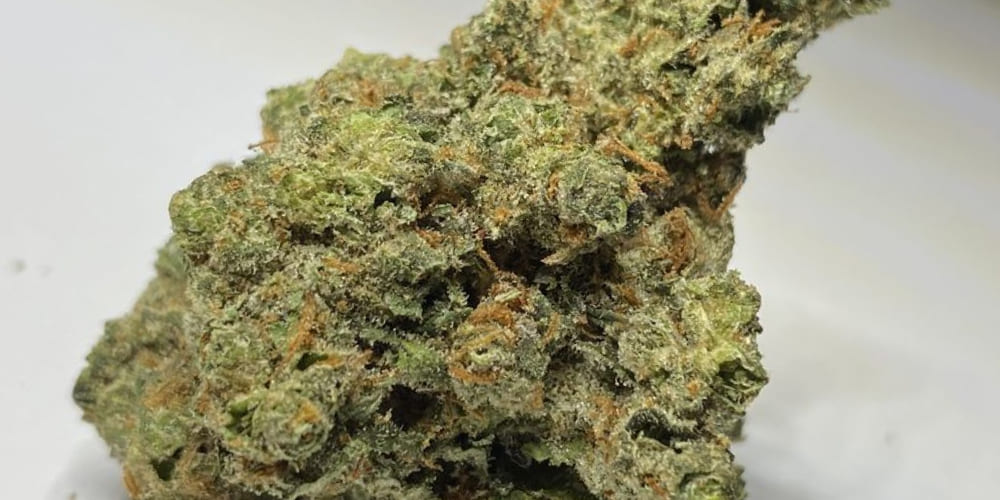 Close-up of Grapes and Cream strain showcasing its dense, frosty buds and purple undertones.