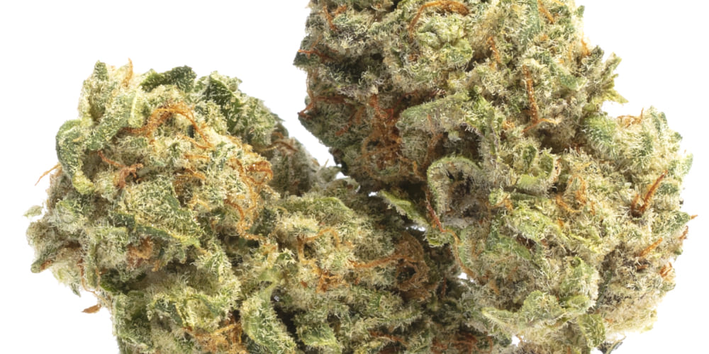 Super Lemon Haze cannabis buds with a citrusy aroma and golden pistils.