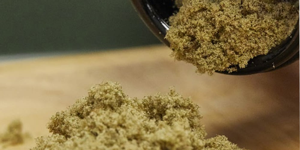 What is Kief? Close-up view of Kief crystals on cannabis
