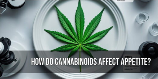 How Do Cannabinoids Affect Appetite