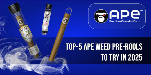 TOP-5 APE Weed pre-rools to Try in 2025