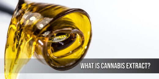 What is Cannabis Extract