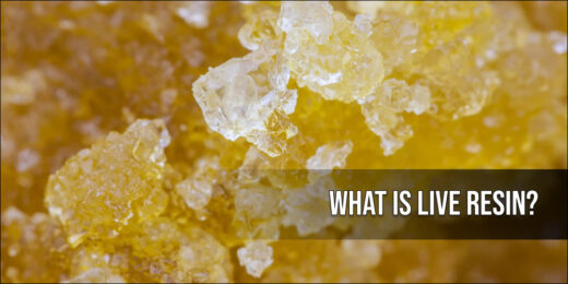 What is Live Resin