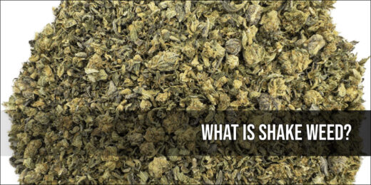 what is shake weed