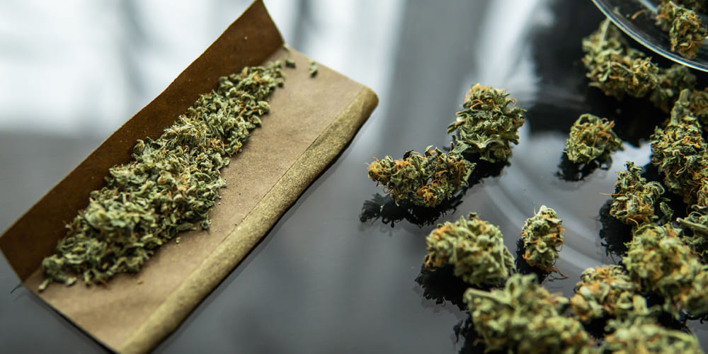 Best Blunts for Relaxation 2025 Best Blunts for Relaxation