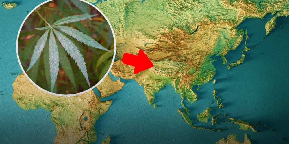 The Origins of Weed Ancient India using cannabis in religious practices