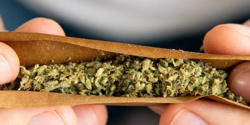 Best Blunts for Nighttime Relaxation 2025 A hybrid blunt ready to provide a balanced, relaxing experience