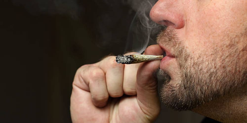 Best Blunts for Nighttime Relaxation 2025 Indica-dominant blunt with rich, earthy colors