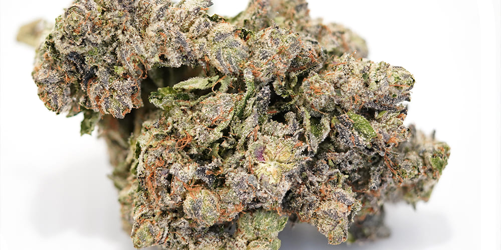 Pink Lemonade Strain Vibrant and frosty Pink Lemonade Strain buds