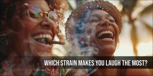 Which Weed Strain Makes You Laugh The Most