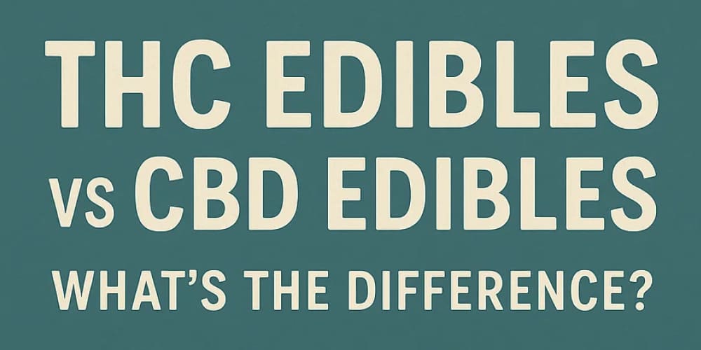 THC Edibles vs CBD Edibles: What’s the Real Difference? Relaxed person lounging on a couch after taking THC Edibles