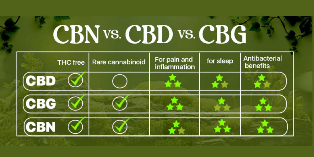 Should you choose CBD, CBG or CBN? Woman relaxing in bed holding a bottle of CBN capsules at night