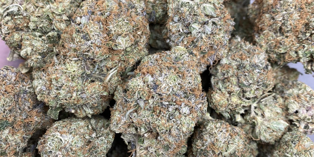 THC Bomb Weed strain THC Bomb Weed Strain