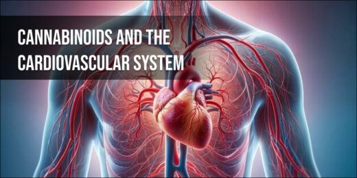 cannabinoids and the cardiovascular system