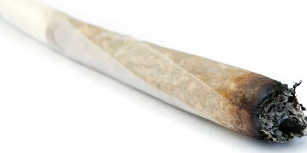Are Blunts Harsher Than Joints? : Cannabis smoker exhaling dense smoke after hitting a blunt