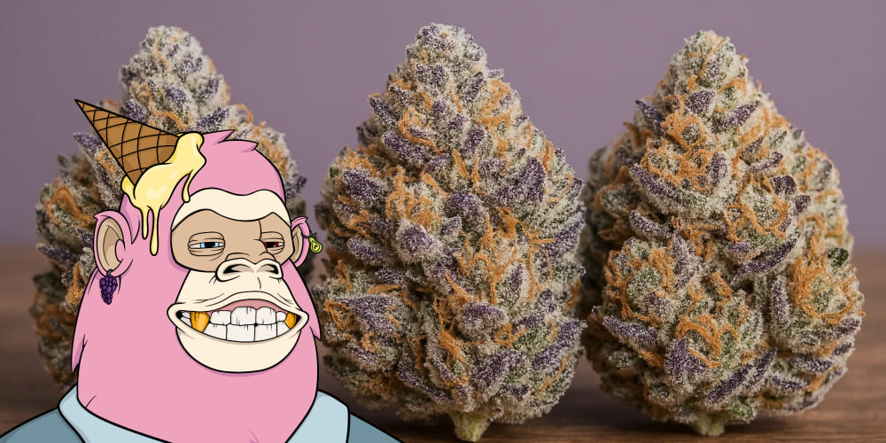 Grapes and Cream Strain Rolled joint filled with Grapes and Cream cannabis strain