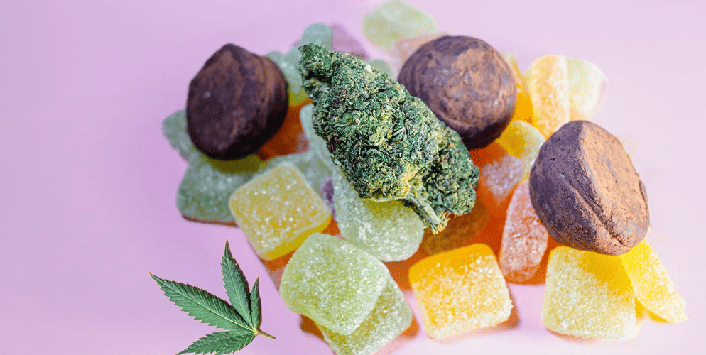 Best THC Energy Gummies Person starting the day with THC Energy Gummies, notebook, and coffee