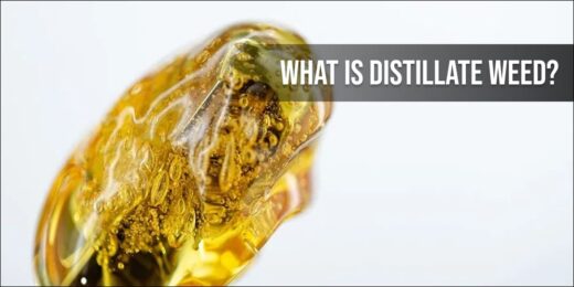what is distillate weed