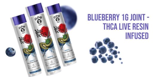 Blueberry 1g Joint -THCa Live Resin Infused
