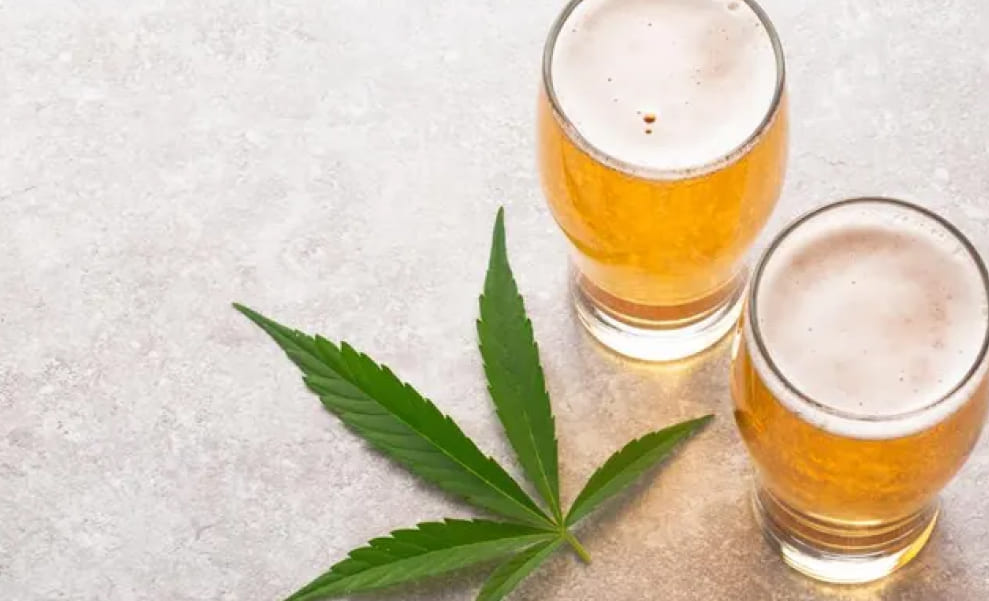 Best 5 THC Drinks A fresh cannabis leaf positioned on a light gray surface next to two glasses of frothy beer.
