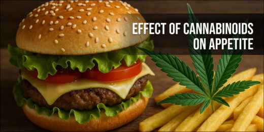 Effect of cannabinoids on appetite