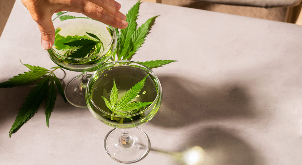 Best 5 THC Drinks Two elegant stemmed glasses filled with a light green liquid, each containing a fresh cannabis leaf floating inside. A hand reaches for one of the glasses.