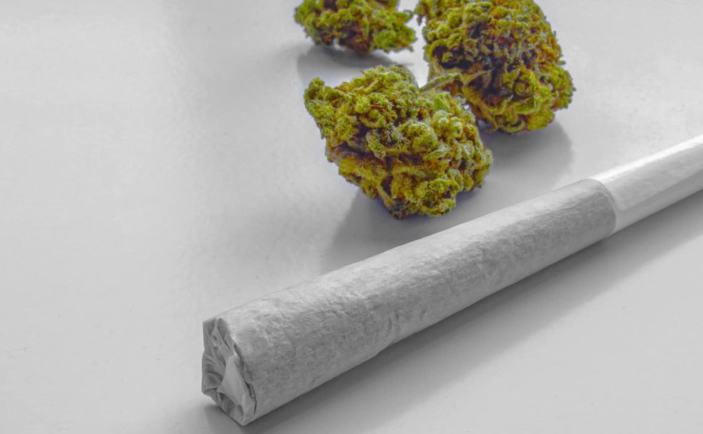 Pre-Rolls for Beginners: Unlock a Smooth and Easy Start to Cannabis A neat, white pre-rolled cannabis joint lying next to several vibrant green cannabis buds on a clean, white surface.