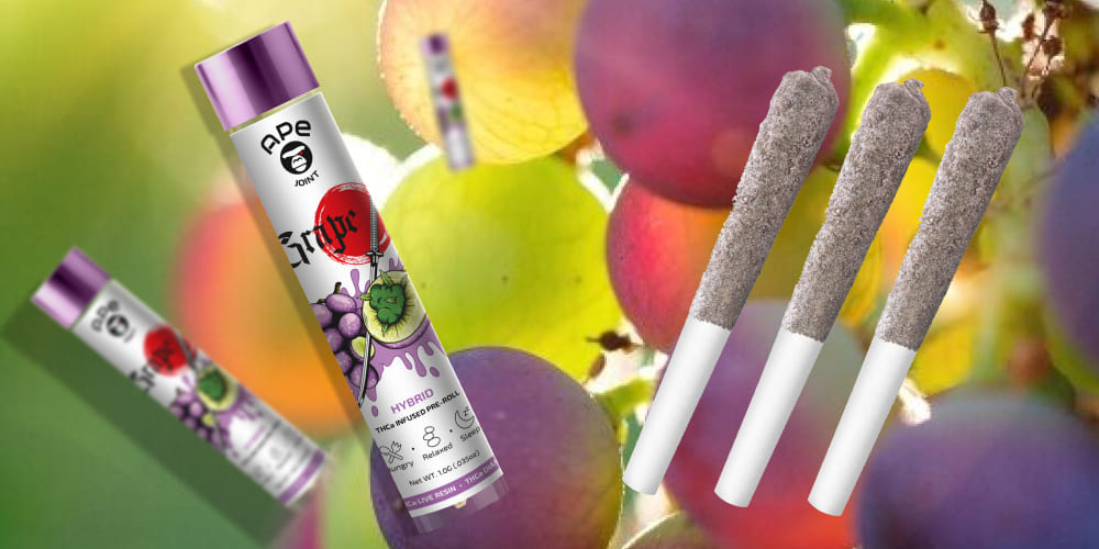 Grape 1g Joint -THCa Live Resin Infused and THCa Diamond Coated Three Grape 1g Joints with white filters and two product packages set against a blurred background of green and purple grapes on a vine.