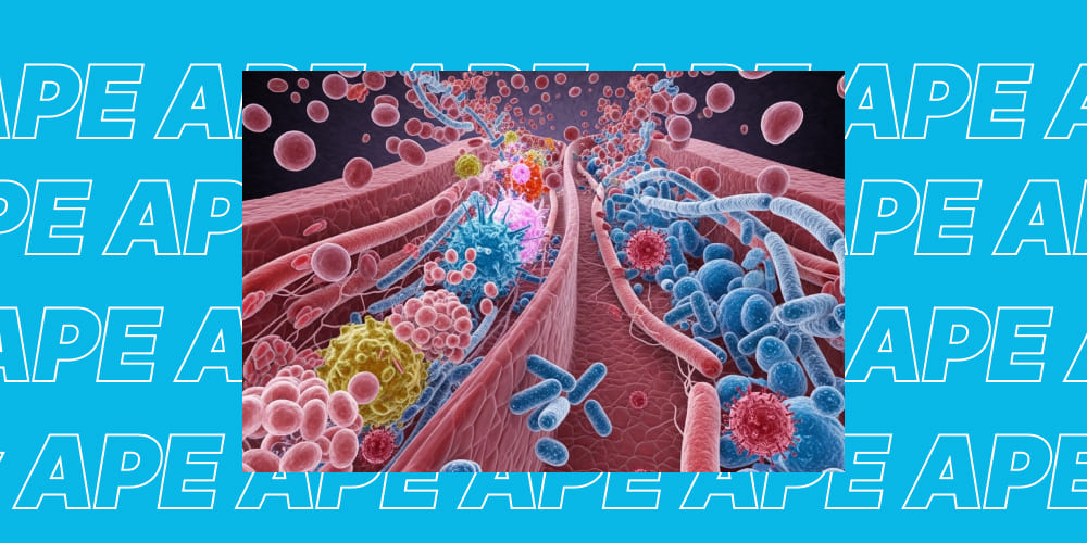 Cannabinoids and Immunity. Dynamic scene of the immune system fighting off pathogens.